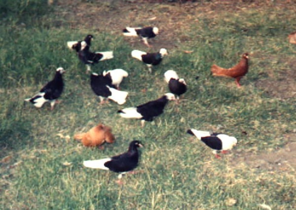 Placeholder image