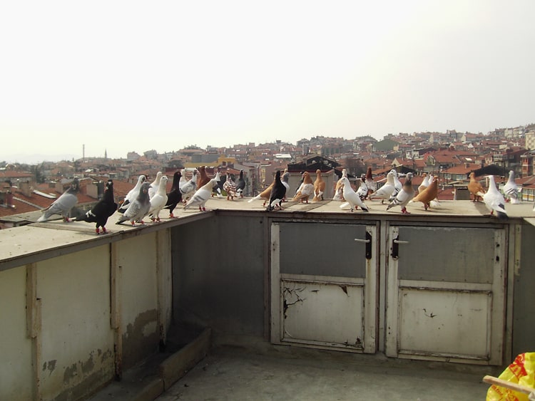 Placeholder image